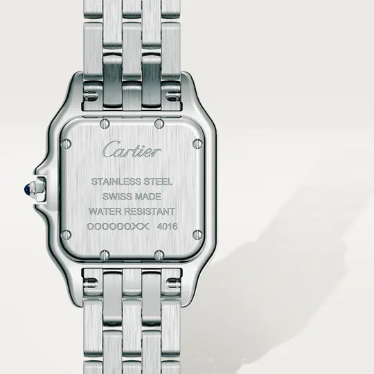 PANTH��RE DE CAR CHEETAH WATCH