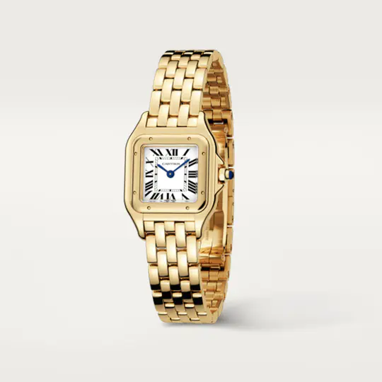 CAR PANTHÈRE WATCH 03