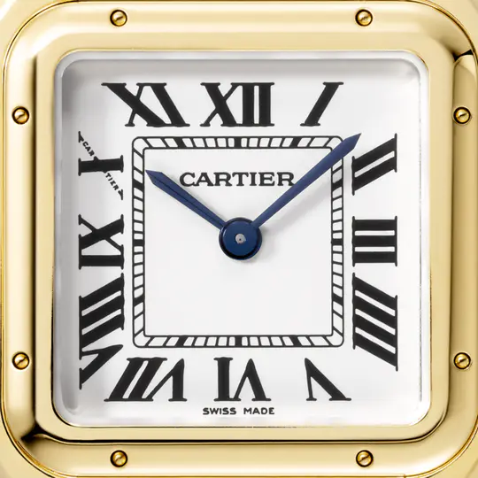 CAR PANTHÈRE WATCH 03