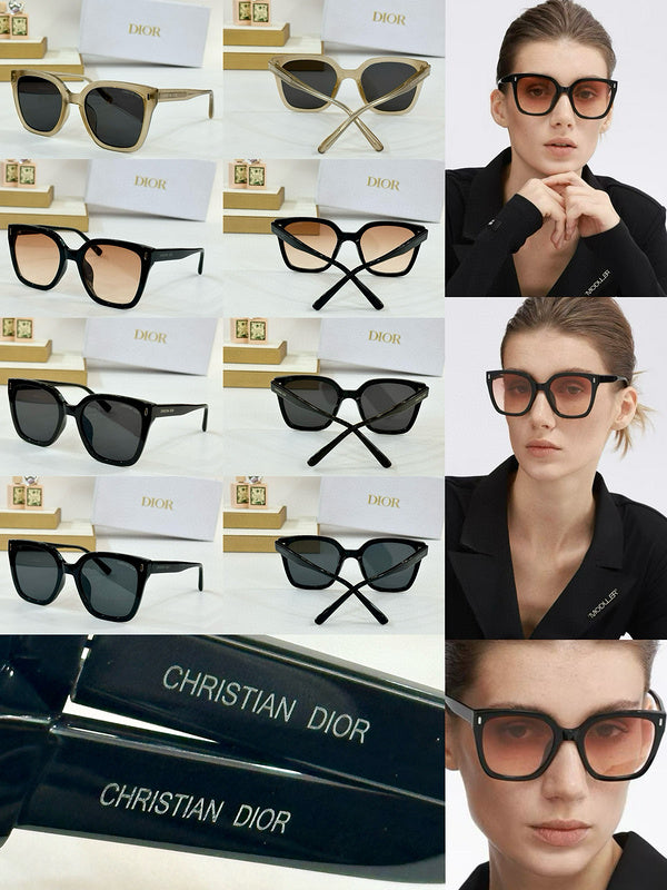 DI*R Eyewear SIZE: 53-21-145