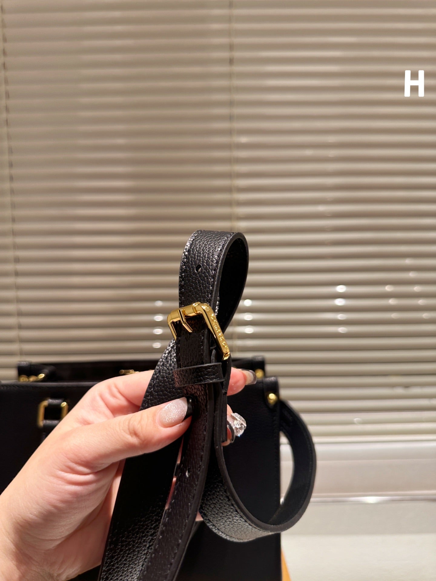 Louis Fall Capsule tote bag size ; 25cm