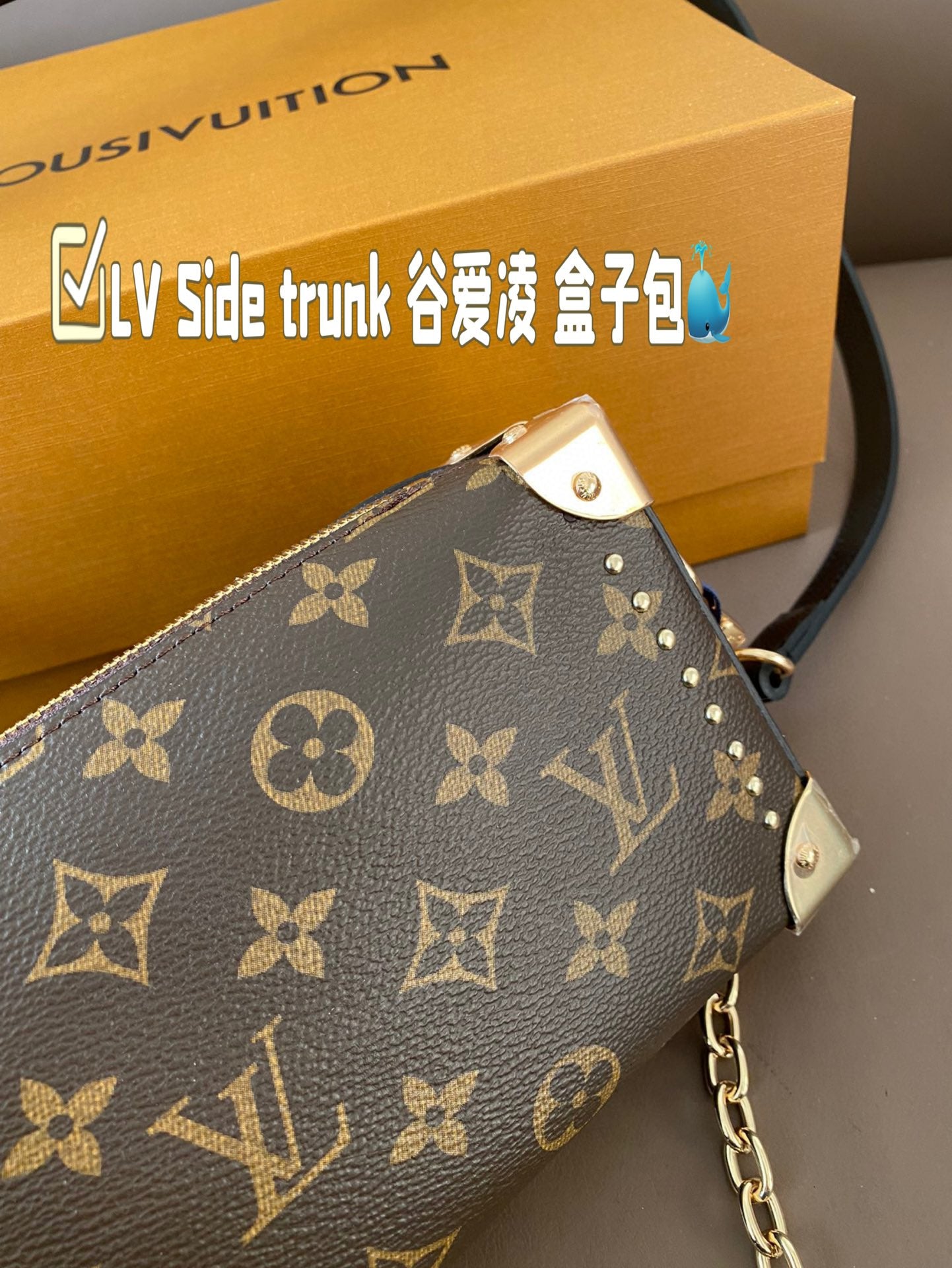 Louis new arrival 2025 Side trunk bag size: 23*12 cm