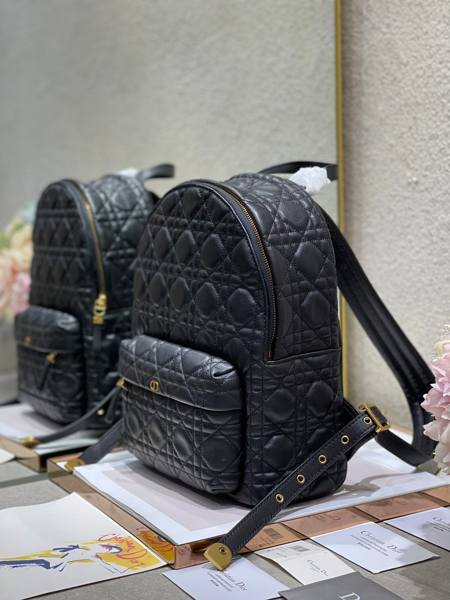 CD Backpack