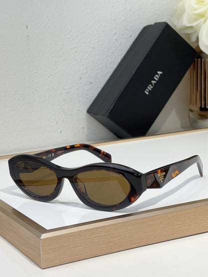 PRA Eyewear SIZE: 56-15-145