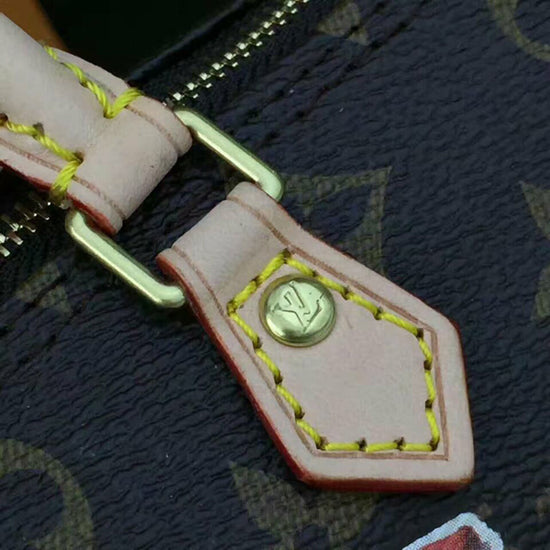 L M62208 Nano Speedy Crossbody Bag Monogram Canvas