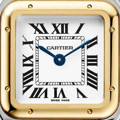 CAR PANTHÈRE WATCH
