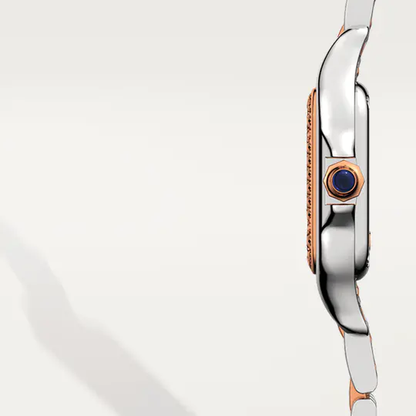 CAR PANTHÈRE WATCH 02
