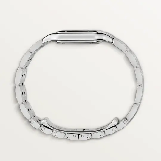 PANTH��RE DE CAR CHEETAH WATCH
