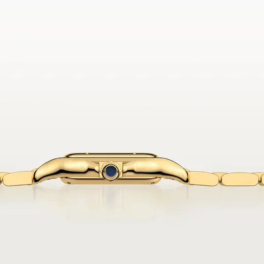 CAR PANTH��RE WATCH 03