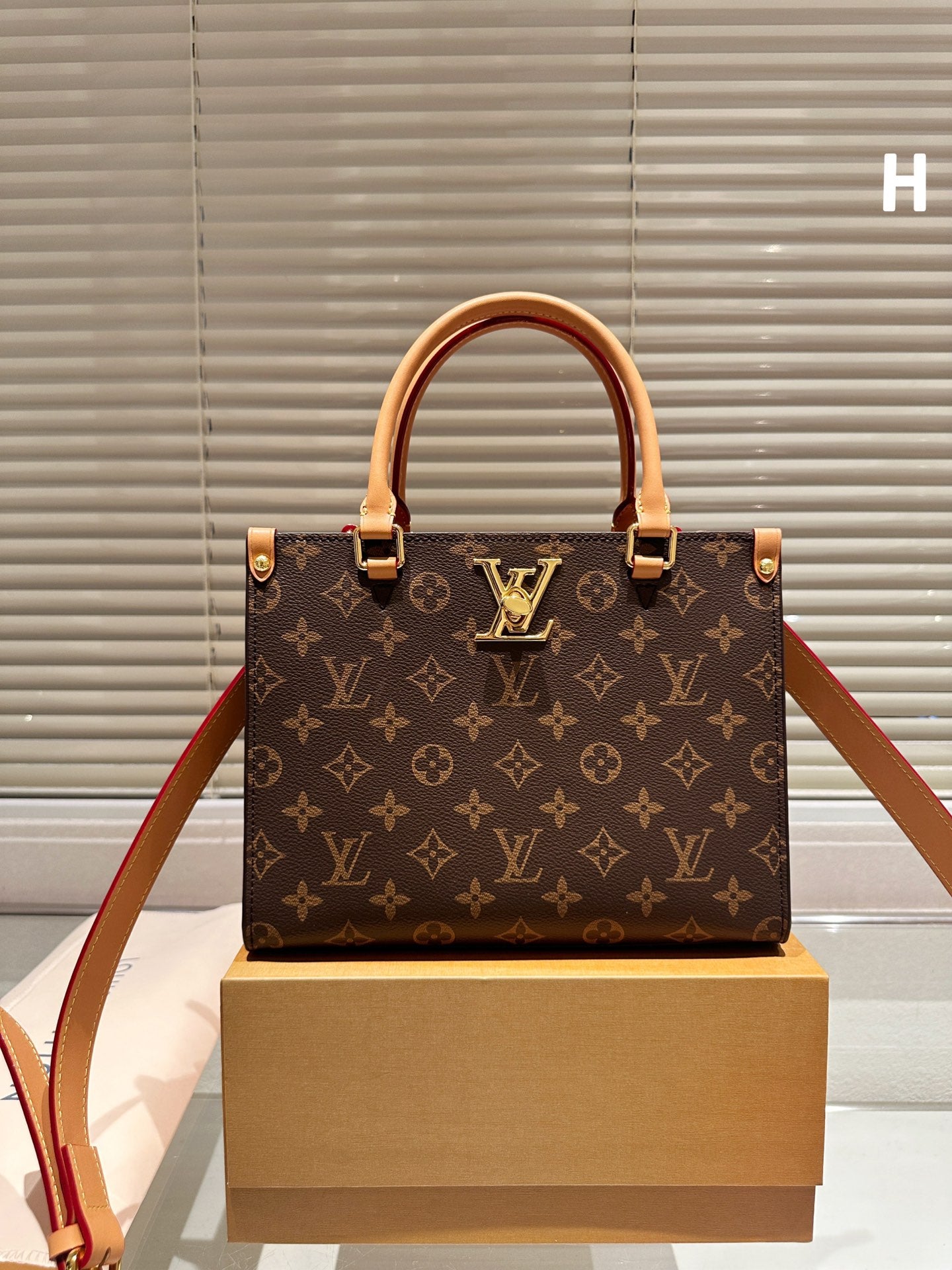 Louis Fall Capsule tote bag size ; 25cm
