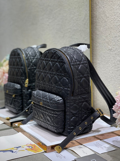 CD   Backpack