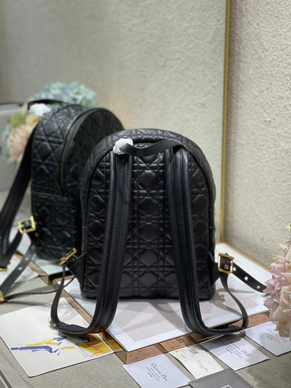 CD   Backpack