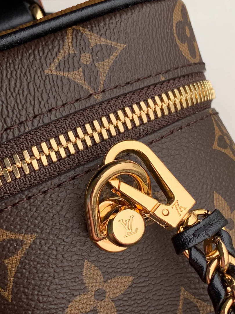 Louis M45165  Vanity Pm Monogram Bag